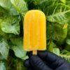 Paleta de Vainilla