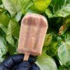 Paleta de Galleta