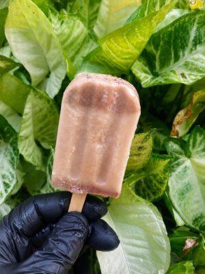 Paleta_mango_con_chamoy Paleta de Galleta